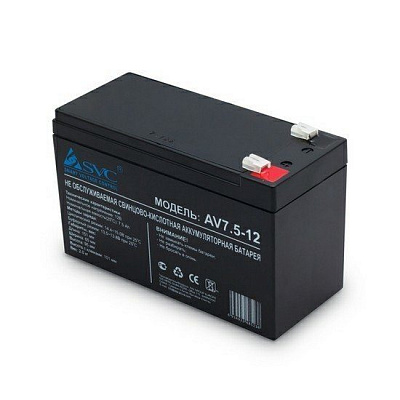 DL-SVC-BATTERY 12V/7Ah