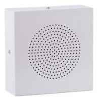 WS-06T