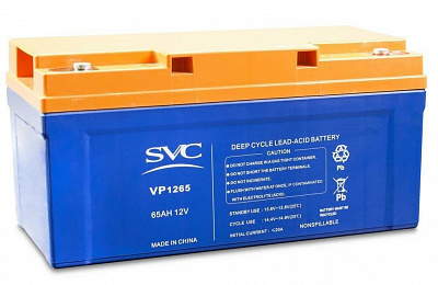 DL-SVC-BATTERY 12V/65Ah