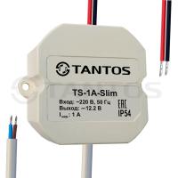 TS-1A-Slim