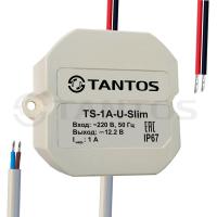 TS-1A-U-Slim