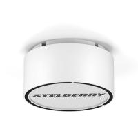 Stelberry F-306W