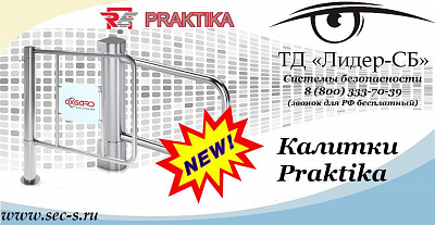 Новые калитки Praktika в ТД «Лидер-СБ»
Praktika