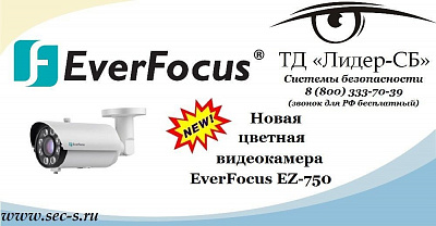 ТД «Лидер-СБ» представляет новую видеокамеру EverFocus.
EverFocus EZ-750